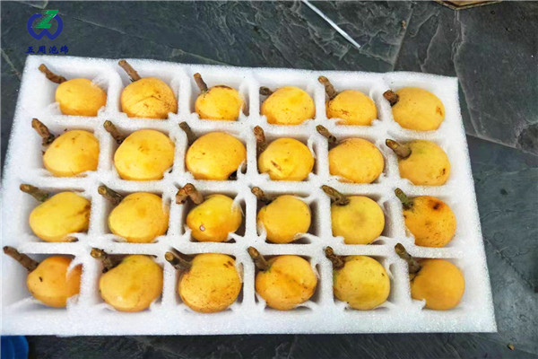 枇杷托是用哪種包裝材料？