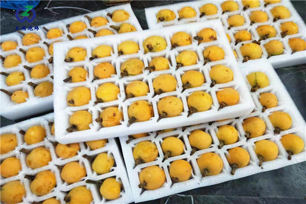 定做枇杷托的材料是環(huán)保的嗎？